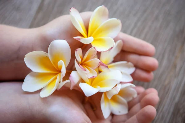 Pequenas flores para decoração e cheiro. Flores tropicais em um b — Fotografia de Stock