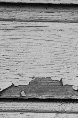 Kuru bir ahşap duvar eski boya