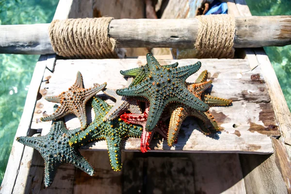 Estrella de mar en la laguna en la playa sur en el océano. Marín. — Foto de Stock