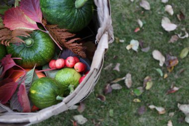 Bir ev bir Tarım çiftliği hasat