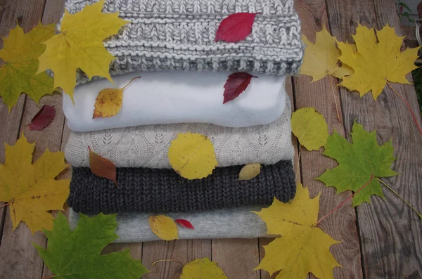 ニットのセーターや黄色の落ち葉 — ストック写真
