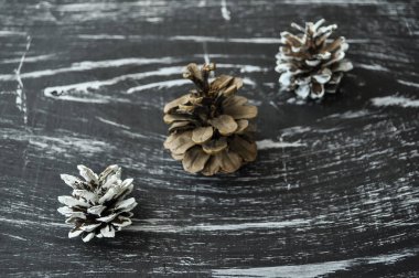 Çam kozalakları masada bileşimi. NAT doğal arka plan