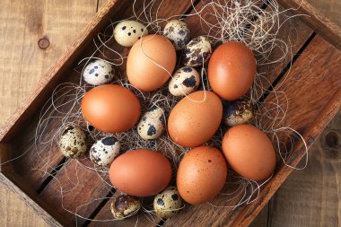 Masada köyün yumurtalar. Çiftlikleri ürünleri. Taze foo