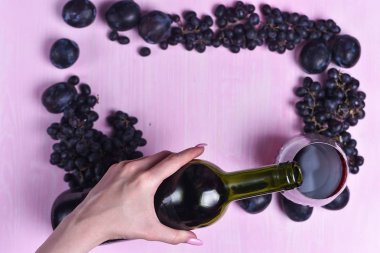 şarap, üzüm ve Erik bileşimi