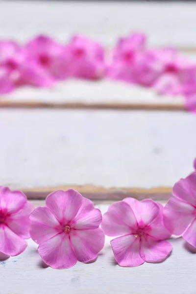 Marco de flores sobre la mesa — Foto de Stock