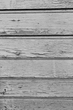 Kuru bir ahşap duvar eski boya