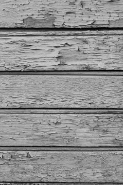Kuru bir ahşap duvar eski boya