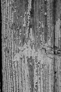 Kuru bir ahşap duvar eski boya