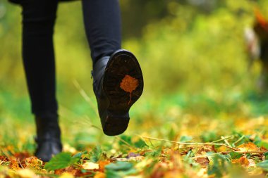 Parkta bir yürüyüş botları. Güzel sonbahar ormandır. Sarı