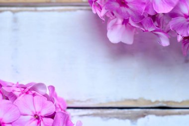 Ahşap bir masaya Pembe çiçek