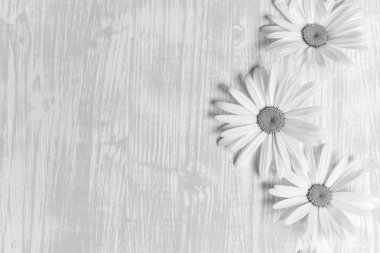 Ahşap bir masa üzerinde papatya