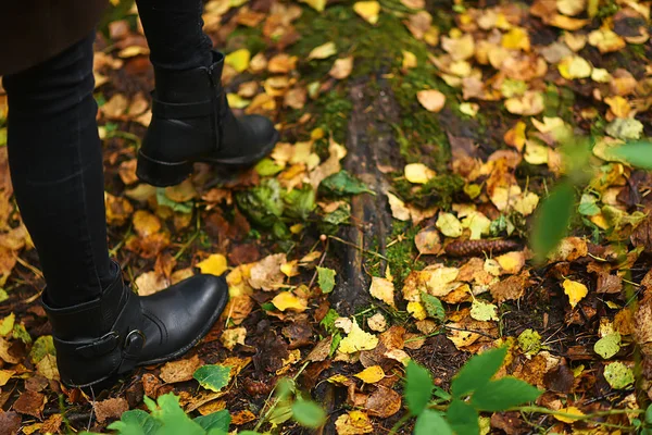 Buty na spacer w parku. Jesień las jest piękny. Żółty — Zdjęcie stockowe