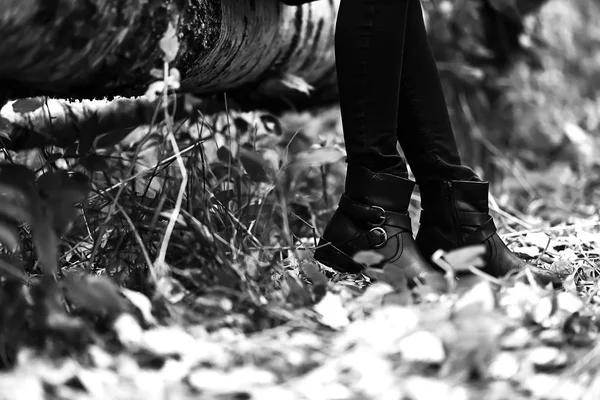 Botas para um passeio no Parque. A floresta de outono é linda. Amarelo — Fotografia de Stock