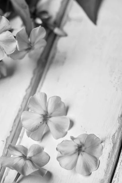 Flores em uma mesa de madeira — Fotografia de Stock