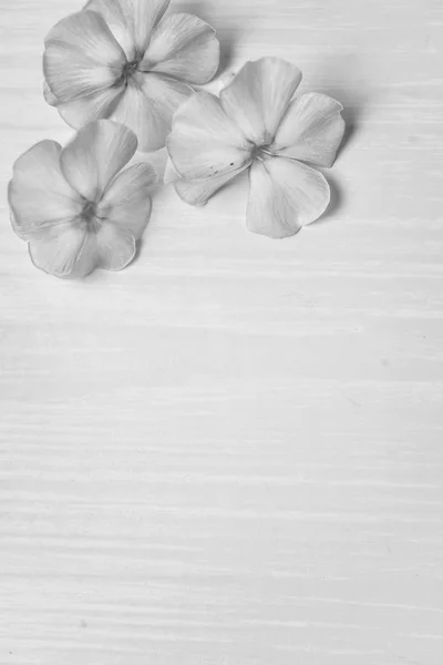 Virágok egy fa asztalon — Stock Fotó