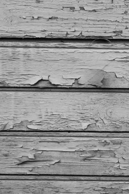 Kuru bir ahşap duvar eski boya