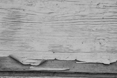 Kuru bir ahşap duvar eski boya