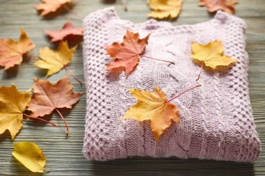 Sonbahar Aksesuar örgü kazak ve yaprakları