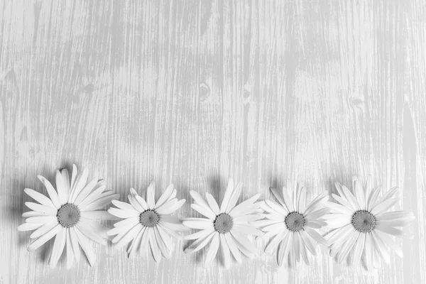 Kamille op een houten tafel — Stockfoto