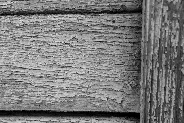 Kuru bir ahşap duvar eski boya