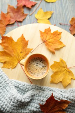 Sonbahar Aksesuar örgü kazak ve yaprakları