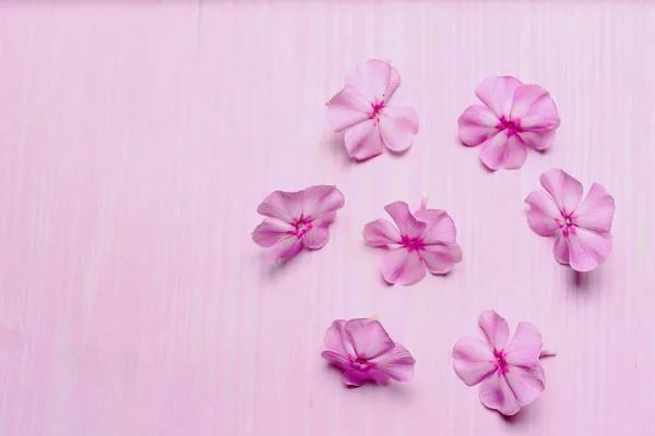 Flores rosadas sobre una mesa de madera — Foto de Stock
