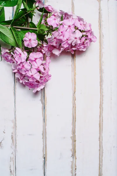 Flores cor-de-rosa em uma mesa de madeira Fotografia De Stock