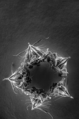 Kompozisyon neon ışık çiçek