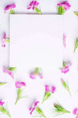 Beyaz bir arka plan üzerinde küçük çiçekler