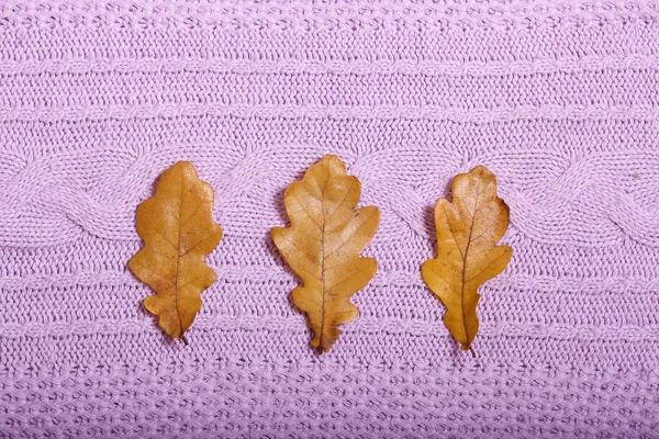 Φθινοπωρινά αξεσουάρ πλεκτά πουλόβερ και τα φύλλα — Φωτογραφία Αρχείου