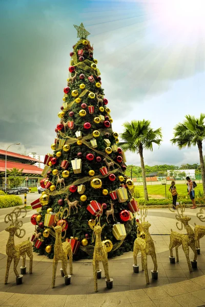 在太阳广场，三巴旺，新加坡的美丽和创意圣诞树装饰. — 图库照片