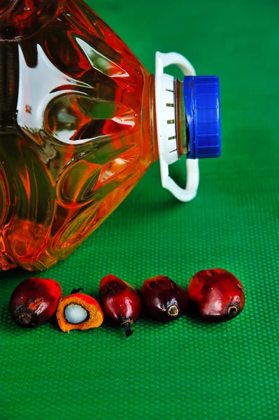 Palm Oil Fruits — Stock Photo, Image