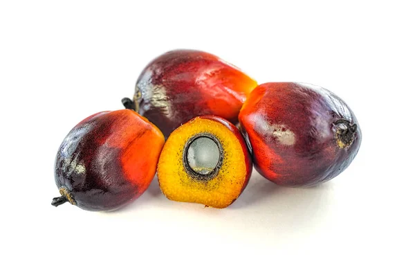 Fresh oil palm fruits Stock Photo