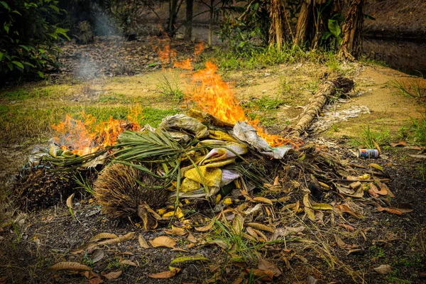 Incendios en plantación de aceite de palma —  Fotos de Stock