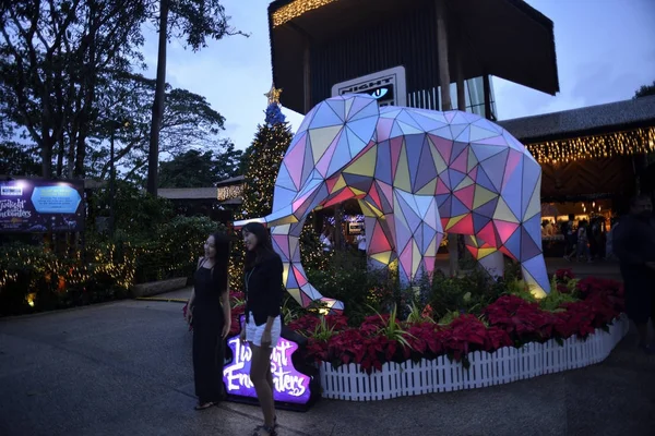 Cingapura Novembro 2017 Belas Decorações Night Safari Cingapura Tema Deste — Fotografia de Stock