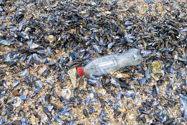 Poluição Plástica Oceano Conceito Ambiente Foco Seletivo — Fotografia de Stock