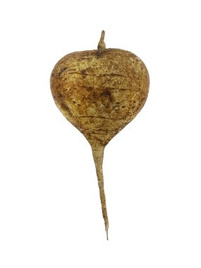 Süpermarkette taze Jicama yakın çekim, seçici odaklanma. Kırpma yolu dahil. 