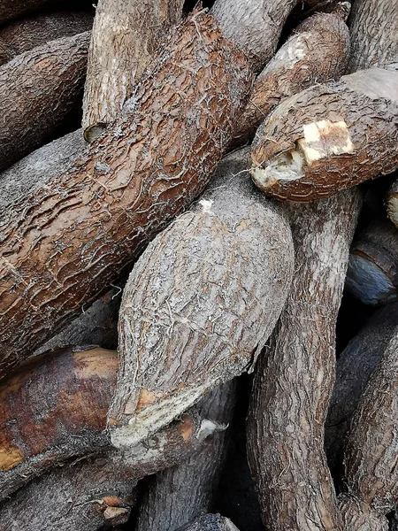 Fresh Cassava Supermarket Selective Focus — Stock Photo, Image