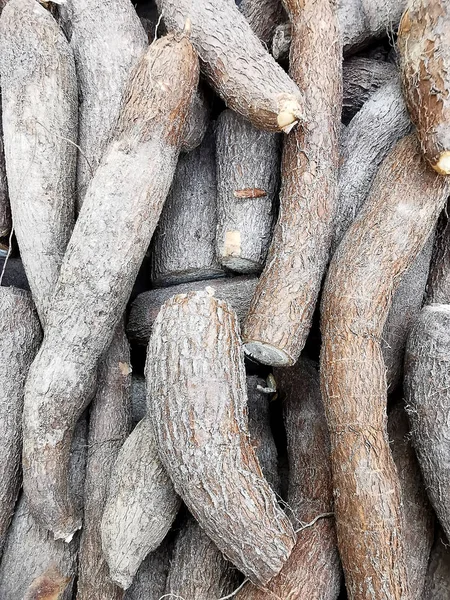 Świeża Cassava Supermarkecie Selektywne Skupienie — Zdjęcie stockowe