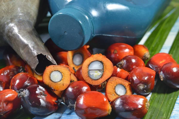 Afrikansk Oljepalm Elaeis Guineensis Oljepalmen Har Sitt Ursprung Västafrika Men — Stockfoto