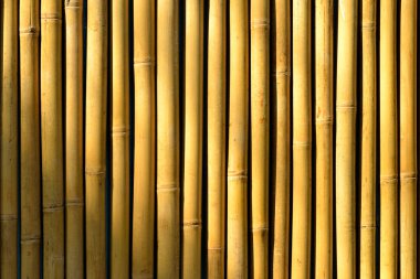 Bambu çitlerin arkasını kapat