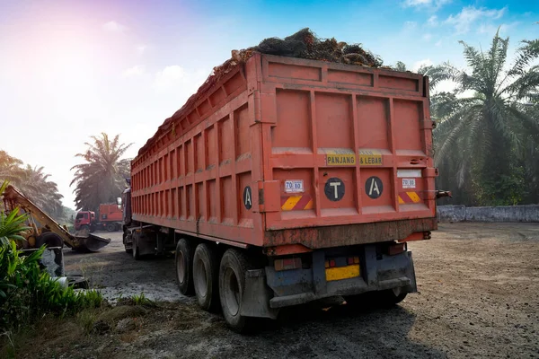 Palmvruchten Truck Ochtend — Stockfoto
