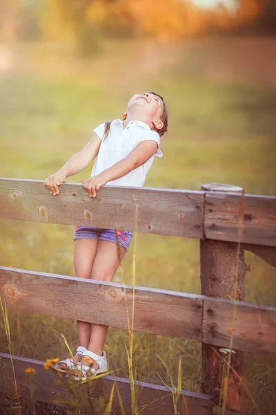 The little girl on the fence — Stock Photo, Image