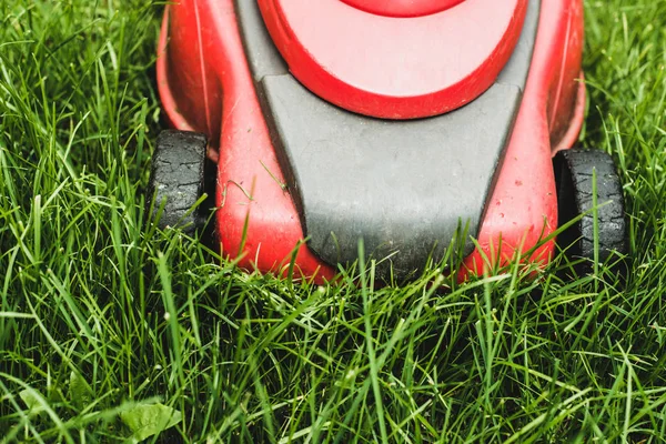 Cortando Hierba Jardinero Corta Hierba Con Una Segadora Eléctrica Roja — Foto de Stock