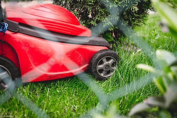 Cortando Hierba Jardinero Corta Hierba Con Una Segadora Eléctrica Roja — Foto de Stock