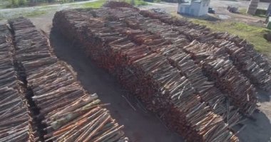 Ahşap ahşap testere değirmen ve yapı depo