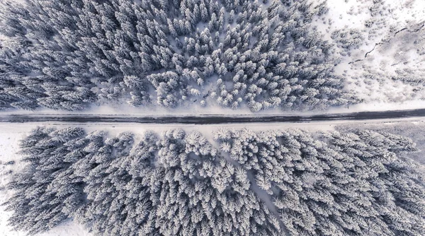 Vedere Aeriană Drumului Pădurea Idilică Iarnă — Fotografie, imagine de stoc