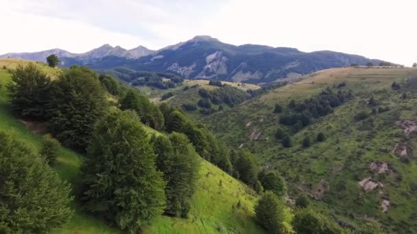 Vuelo Drones Través Valle Verde Colinas — Vídeos de Stock