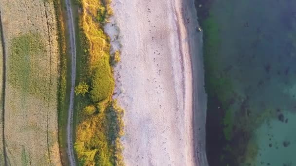 Antenowe Drone Nagrania Góry Jasną Plażą Morzem Pole Pszenicy Pięknej — Wideo stockowe