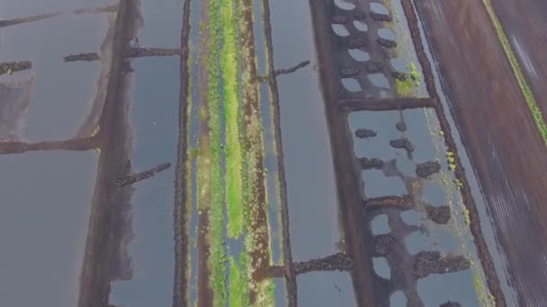 沼の土地の奇妙な抽象的な航空写真 — ストック動画